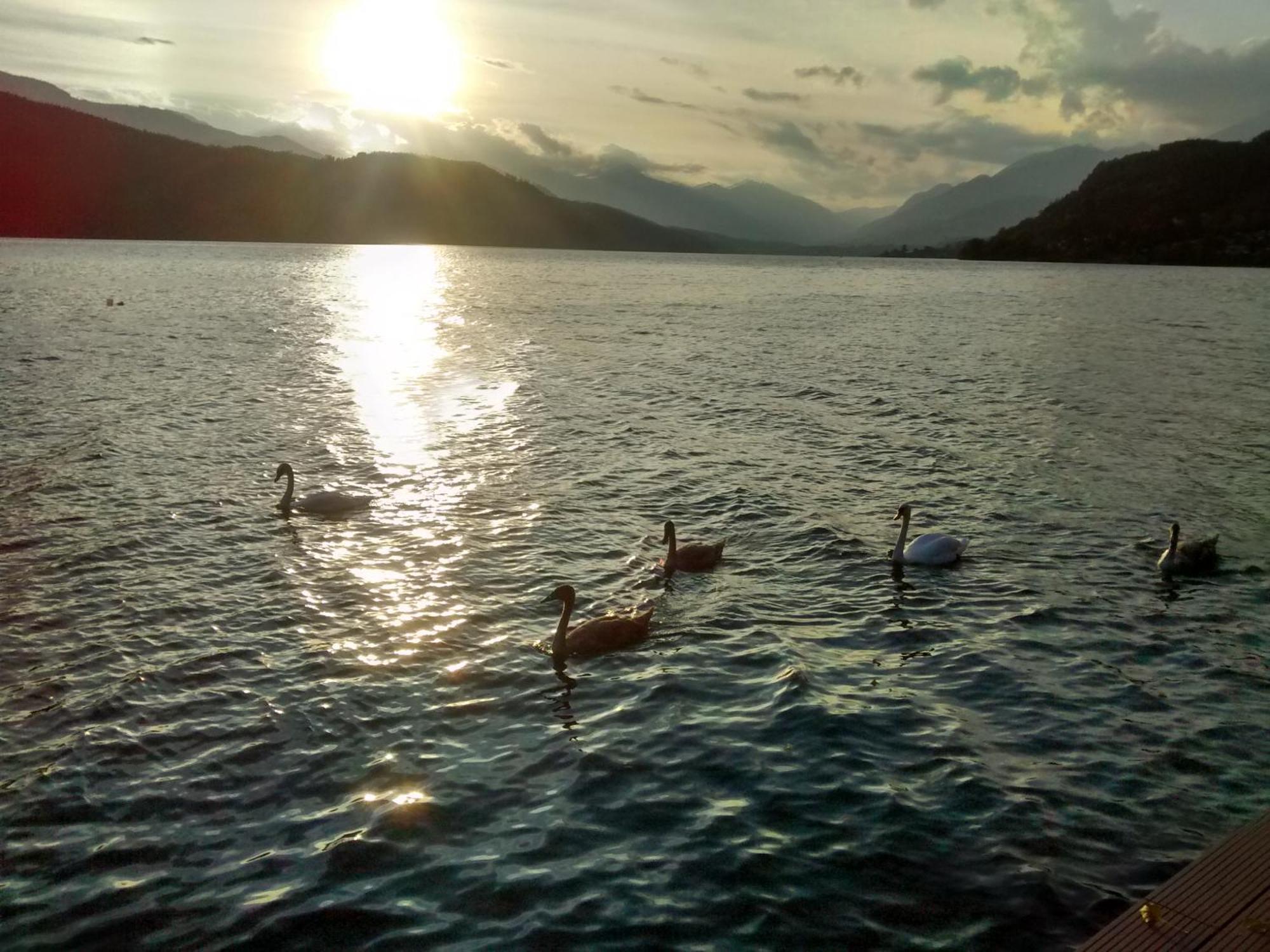 Ferienwohnungen Fischerhaus - Direkt Am See Millstatt Exterior foto