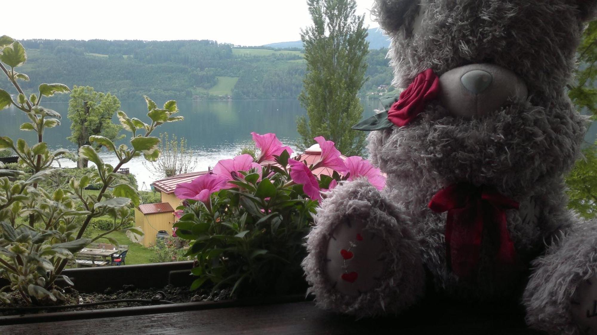 Ferienwohnungen Fischerhaus - Direkt Am See Millstatt Exterior foto