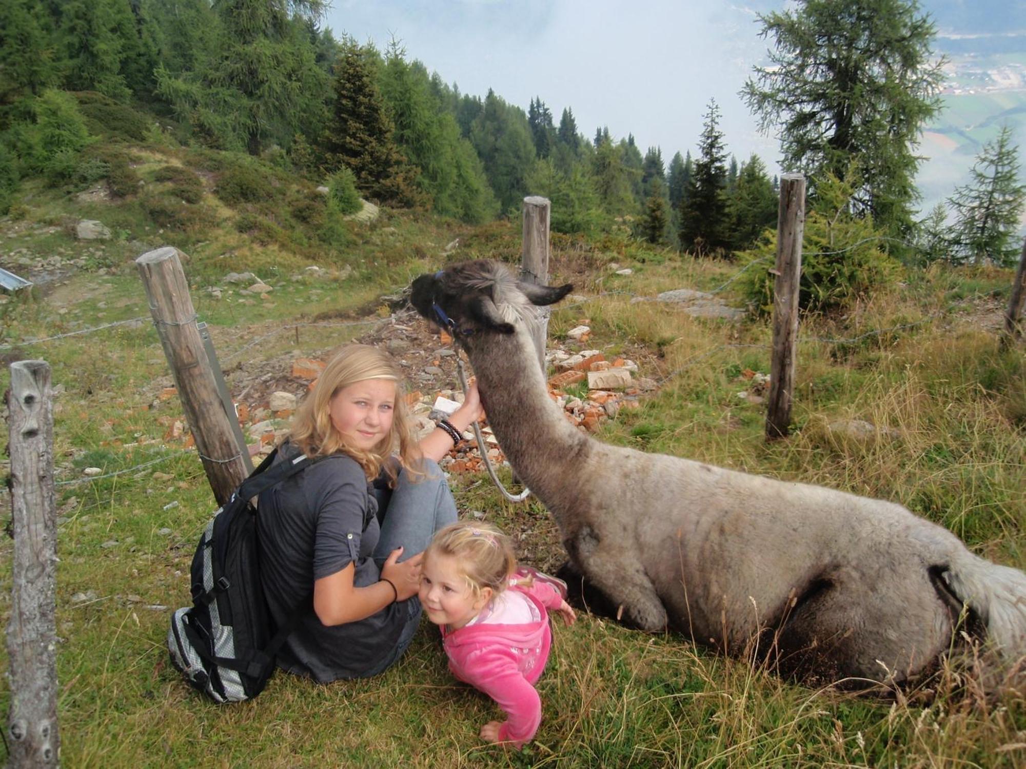 Ferienwohnungen Fischerhaus - Direkt Am See Millstatt Exterior foto